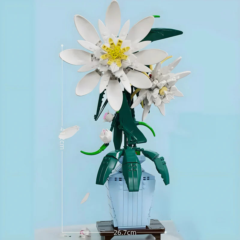 EPIPHYLLUM | 568 TEILE