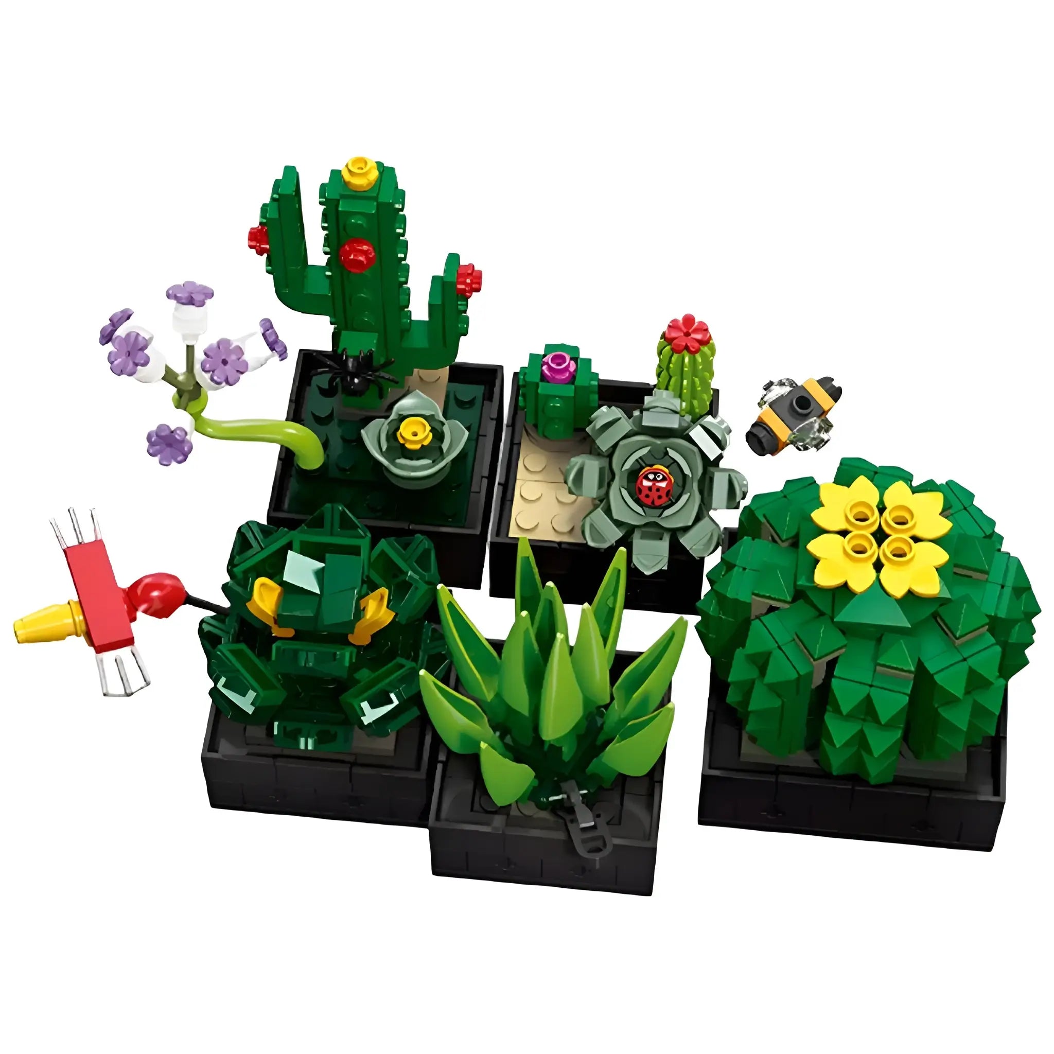 CACTUS SET | 590 TEILE